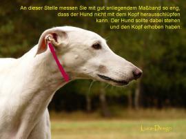 richtig messen